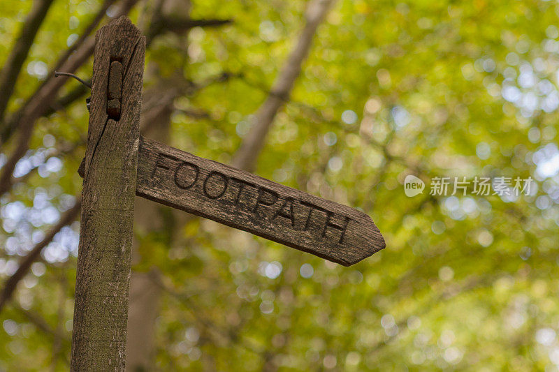 英国西苏塞克斯郡南唐斯国家公园，hapersnapper Hanger上的一个树林里的公共人行道路标